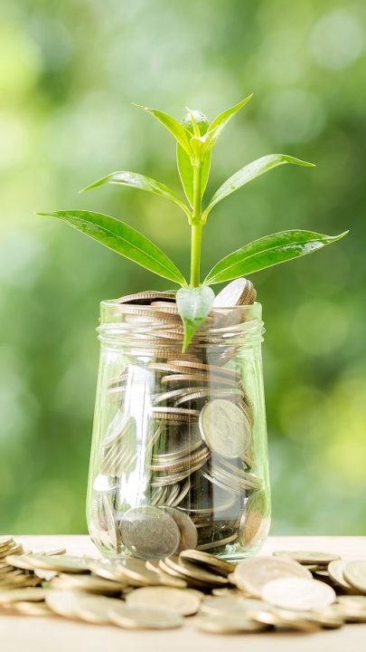 Plant growing from coins in the glass jar on blurred green natural background.